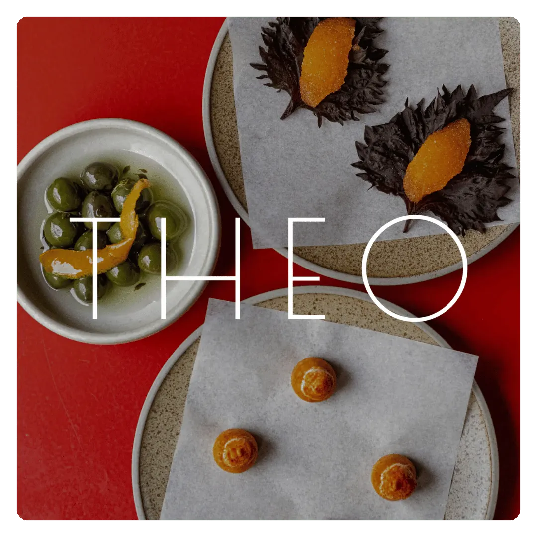 THEO logo