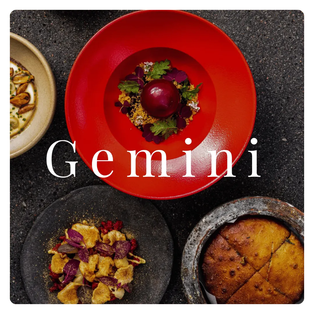 Gemini logo